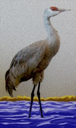 Crane