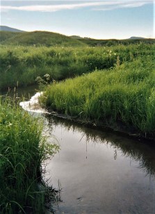 HighElev_LowE_MongMS2005