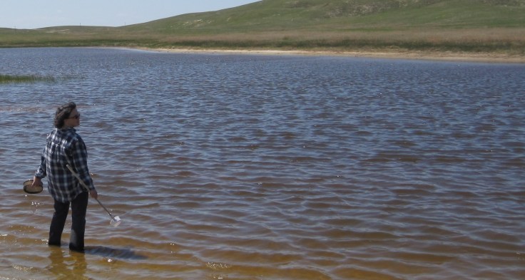 Humans in the environment