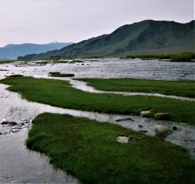 LowElev_LowE_MongGB2009