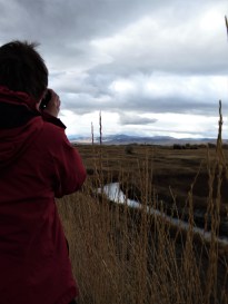 Ole_birdwatching_9mi_Nov18b