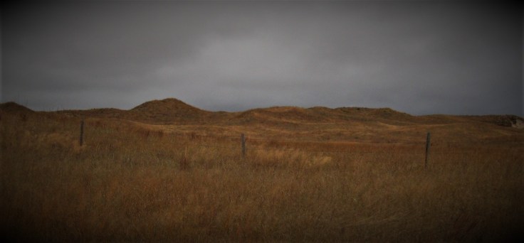 Sandhills near Swan Lake