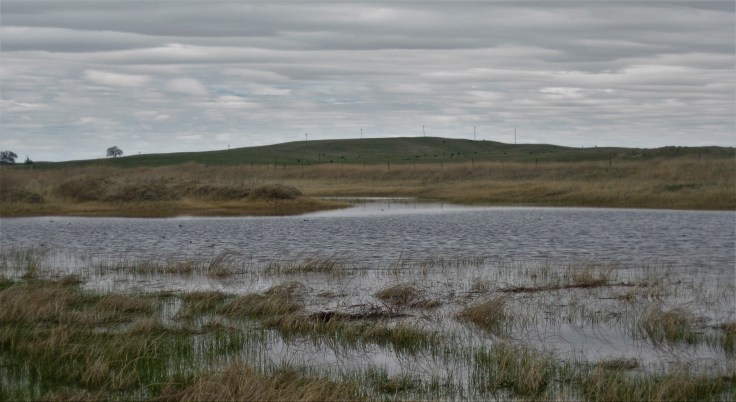 Sandhills sampling and track meet 024
