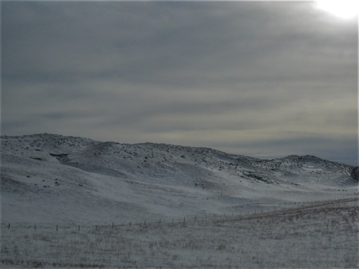 Save Winter Sandhills 2014